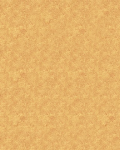 Tulip Power Collection D