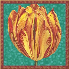 Tulip Power Collection G