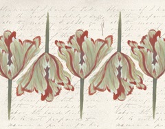 Twin Tulips Collection A