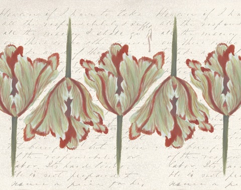 Twin Tulips Collection A