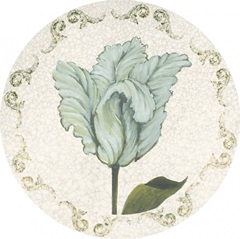 Twin Tulips Collection C