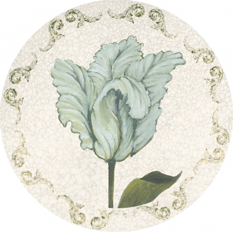 Twin Tulips Collection C