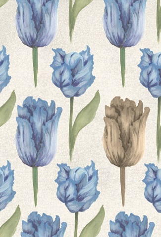 Twin Tulips Collection D
