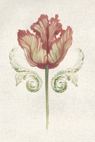 Twin Tulips Collection E