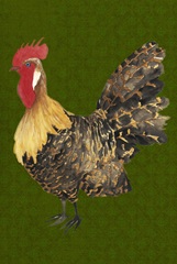 Yard Birds Collection F