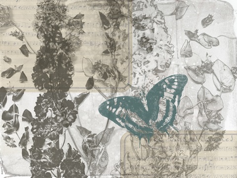 A Touch of Teal Collection A