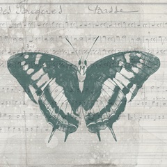 A Touch of Teal Collection D