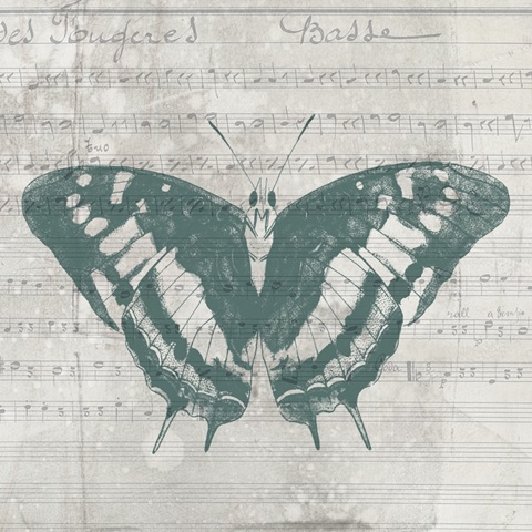 A Touch of Teal Collection D