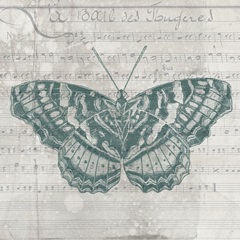 A Touch of Teal Collection F