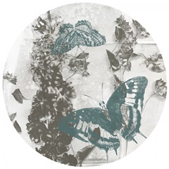 A Touch of Teal Collection G