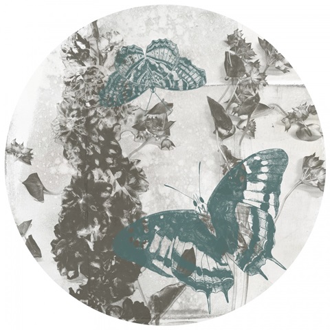 A Touch of Teal Collection G