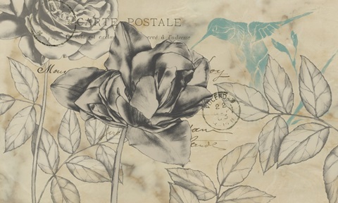 Beautiful Bounty Collection A