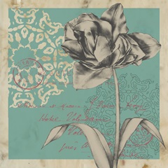 Beautiful Bounty Collection E