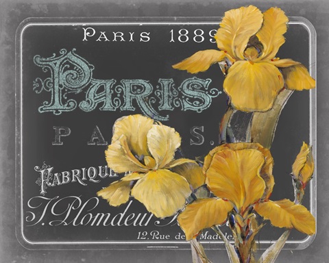 Chalkboard Paris Collection A