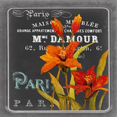 Chalkboard Paris Collection C
