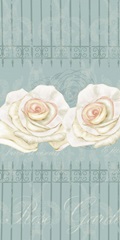 Cream Rose Collection B