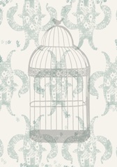 Cream Rose Collection D