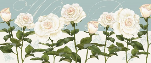 Cream Rose Collection H