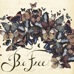 Fab Funky Flights of Fancy A