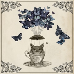 Fab Funky Flights of Fancy F