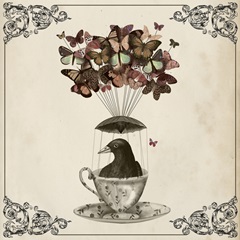 Fab Funky Flights of Fancy G