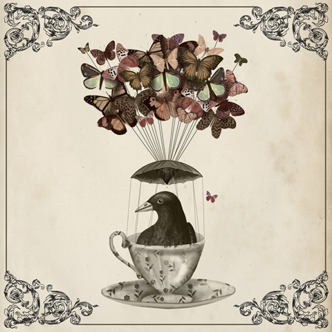 Fab Funky Flights of Fancy G