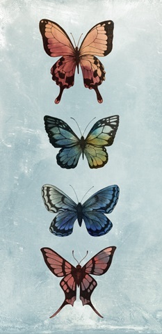 Fairyflies Collection B