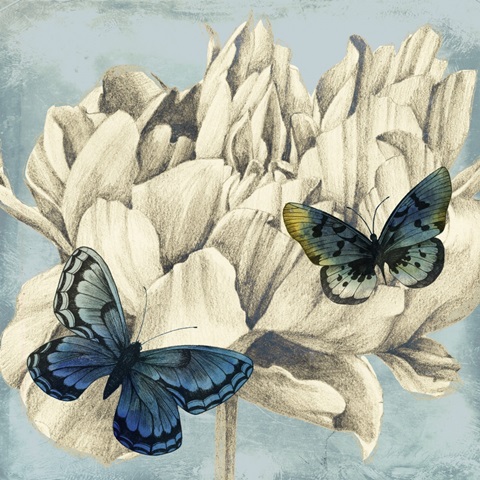 Fairyflies Collection G