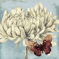 Fairyflies Collection H