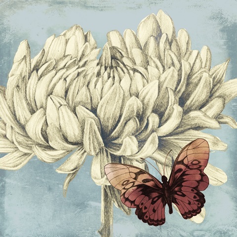 Fairyflies Collection H