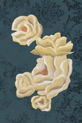 Flor de Luz Collection F