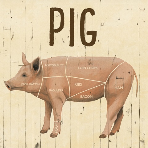 Animal Farm Collection A