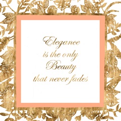 Class and Quotes Collection F