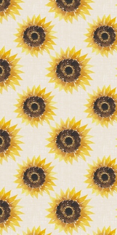 Fall Harvest Collection B