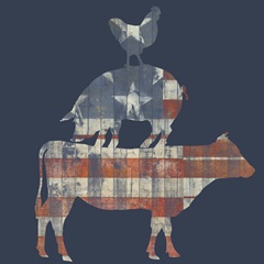 Fourth on the Farm Collection A