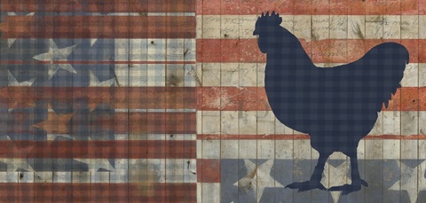 Fourth on the Farm Collection C