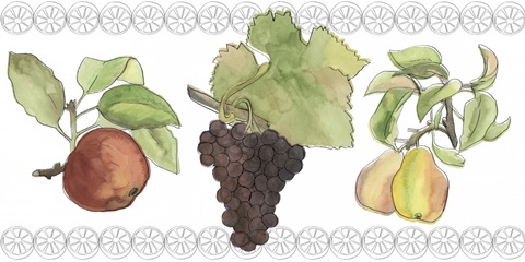 Fruit Medley Collection C