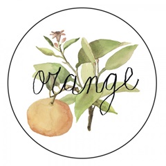 Fruit Medley Collection G