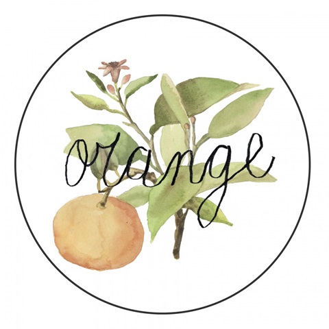 Fruit Medley Collection G