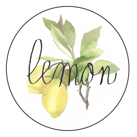 Fruit Medley Collection H