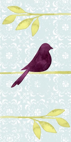 Afternoon Perch Collection B