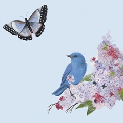 Bird Garden Collection C