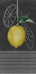 Chalkboard Citrus Collection B