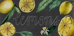 Chalkboard Citrus Collection C