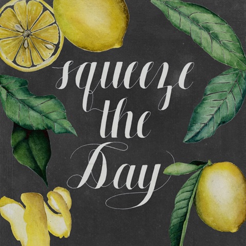 Chalkboard Citrus Collection E