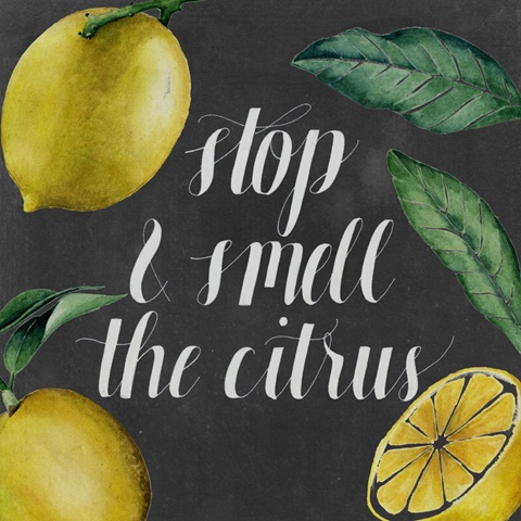 Chalkboard Citrus Collection G