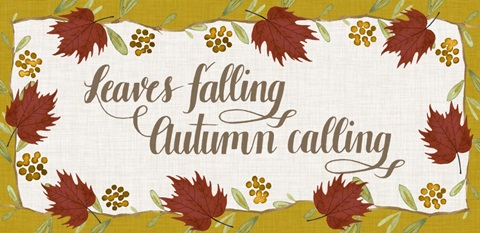 Contemporary Autumn Collection C