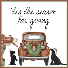 Country Christmas Collection A