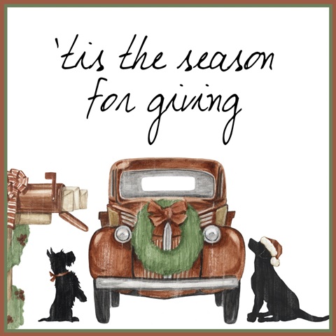 Country Christmas Collection A