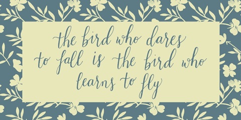 Feathered Friends Collection C